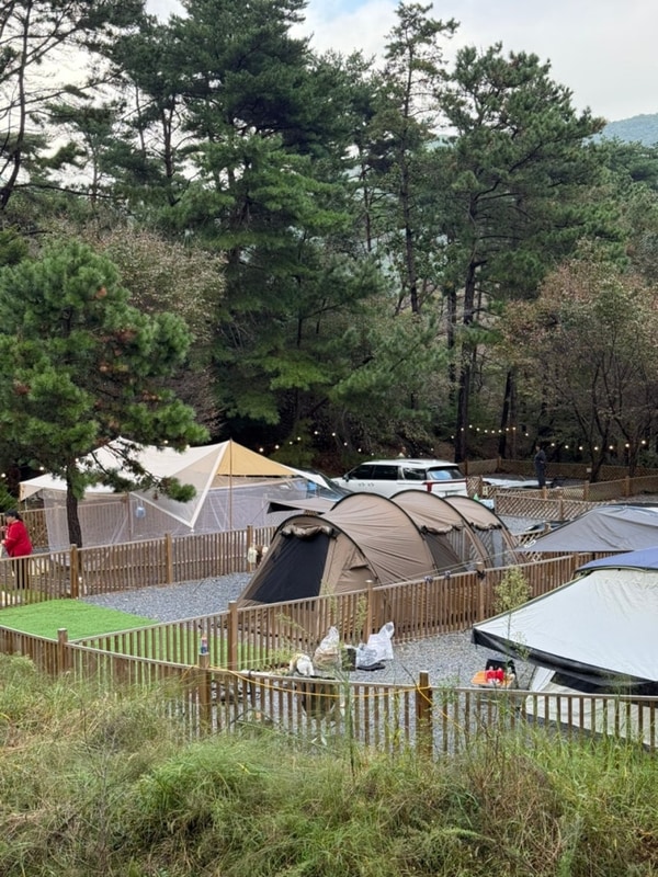 애견동반 펜스로 편안한 캠핑하기 | 부여 리틀 빌리지 캠핑장