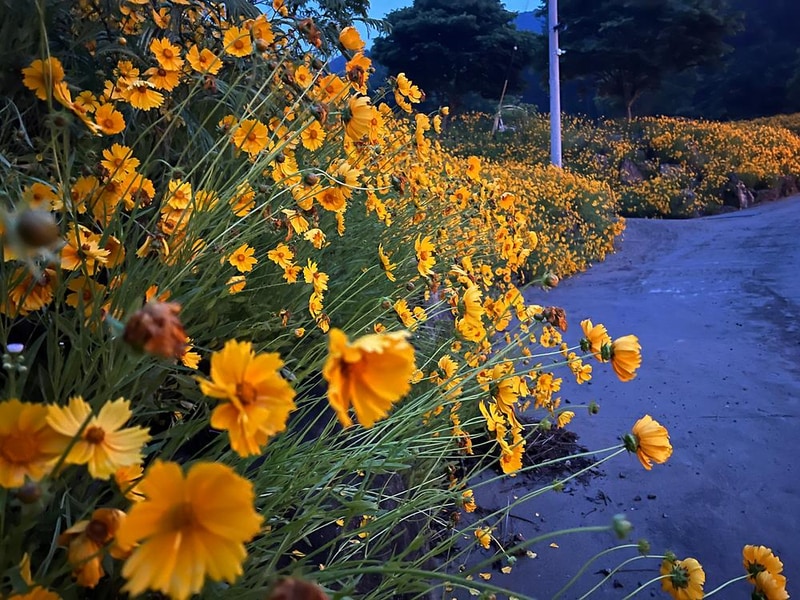 해월카라반앤캠핑 시설 사진 7