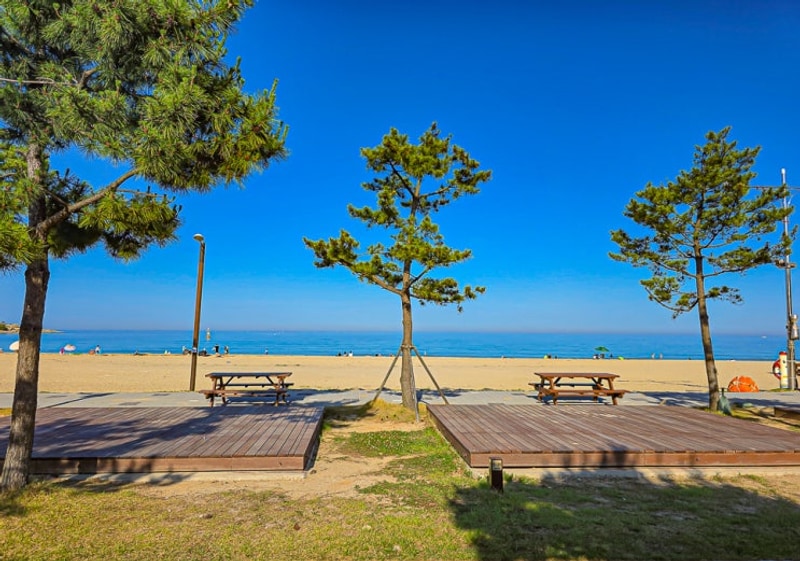 고성 오호캠핑장 명당 및 사이트 사진 리뷰