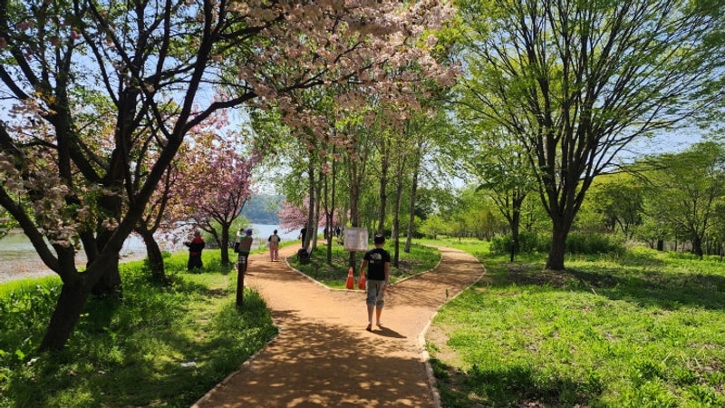 가평 자라섬 여행 코스 캠핑장 황톳길 맨발 걷기 캠핑하고 싶다