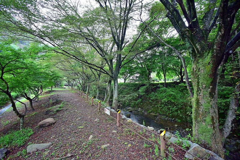 백양사 가인야영장 시설 사진 4