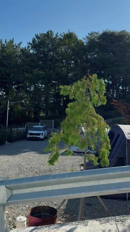 아이랑캠핑 경남 의령 산들캠핑파크 캠핑장 사이트a7 (25....