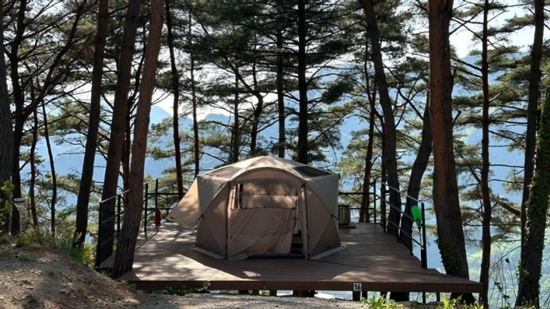 영월) 구름 품은 캠핑장