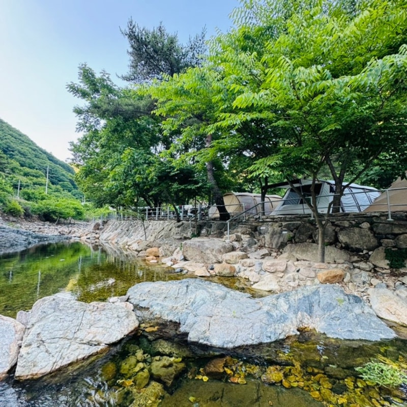 양산 무릉도원캠핑장 계곡캠핑장