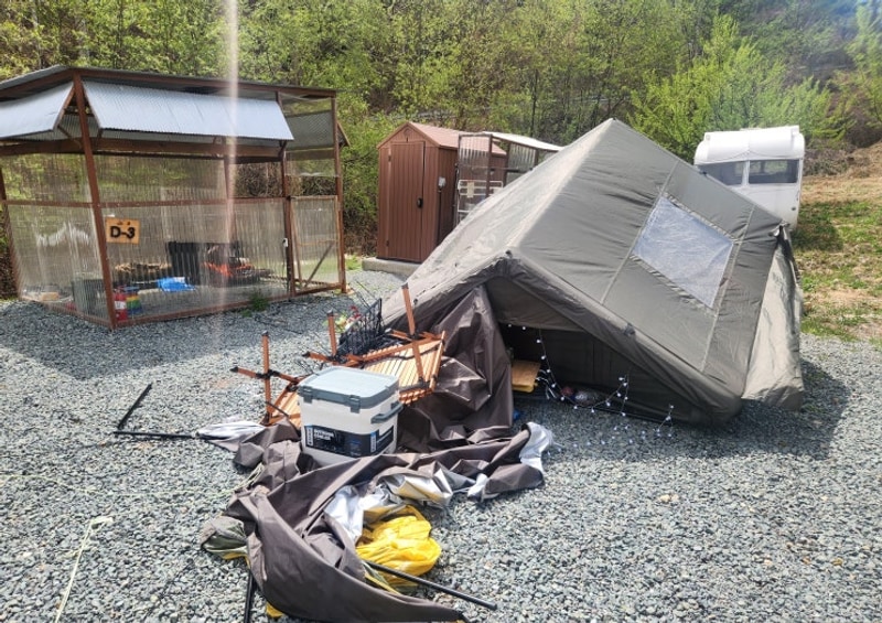 청도캠핑[에이스 캠프]_애견동반