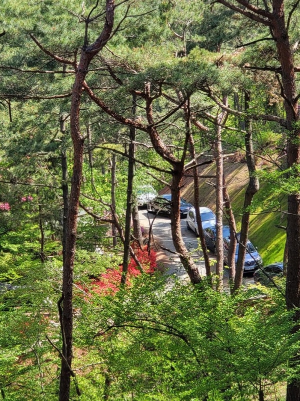 태안 애완견 동반 캠핑장 “올레유” 힐링 스팟!