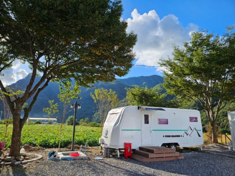 단양숙소] 포시즌 카라반 캠핑장: 가성비 좋고 깔끔한 단양...