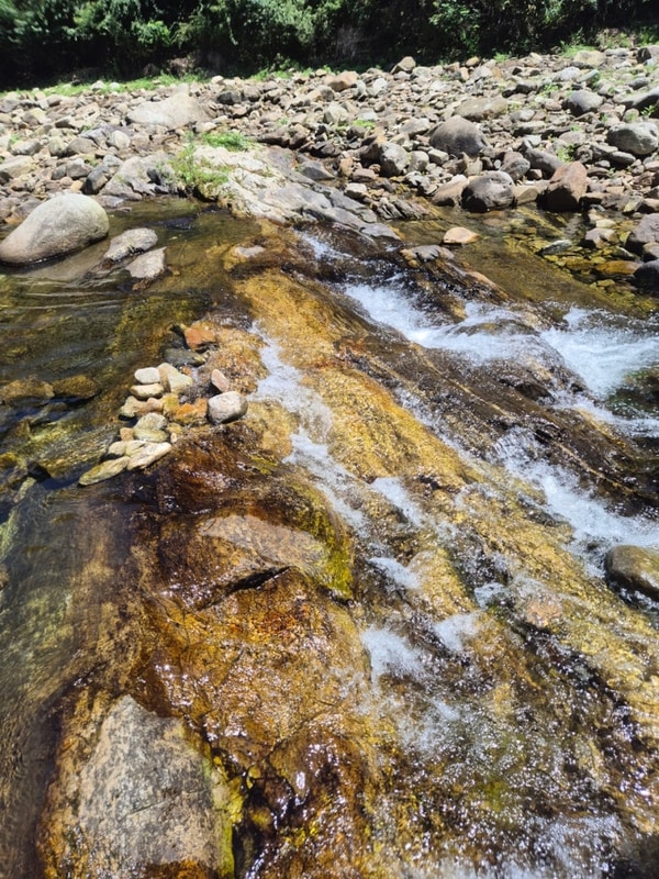 강원도 계곡 캠핑  영월 하얀여울캠핑장 B존(B-2)