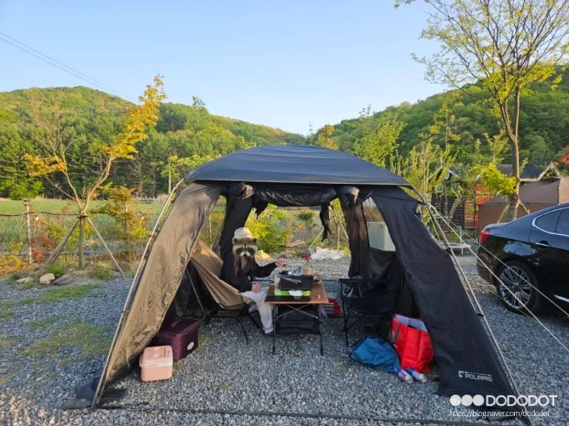 바람이 불던 파주 천지연 캠핑장 7번 사이트