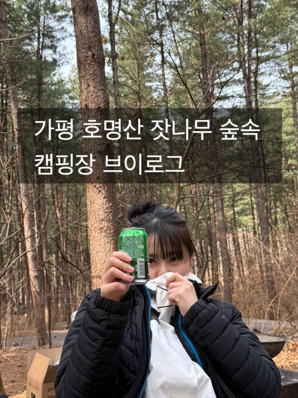[가평]호명산잣나무숲속캠핑장
