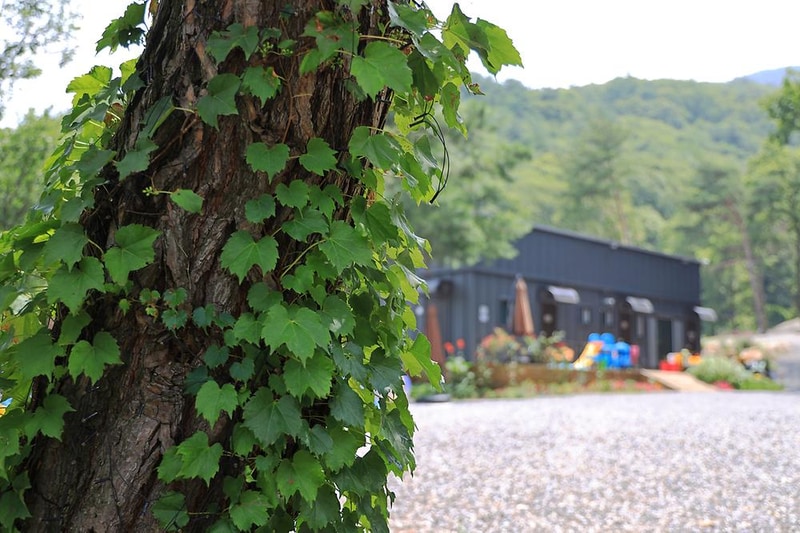 어거스트캠핑장 시설 사진 15