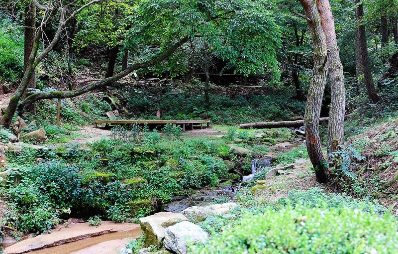 노섬브리아 야영장 시설 사진 4