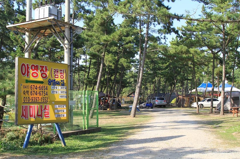 청포대숲속야영장 시설 사진 2