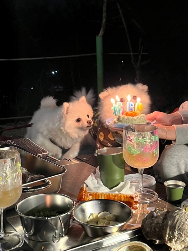 세 번째 캠핑 가평 파머스힐 캠핑장