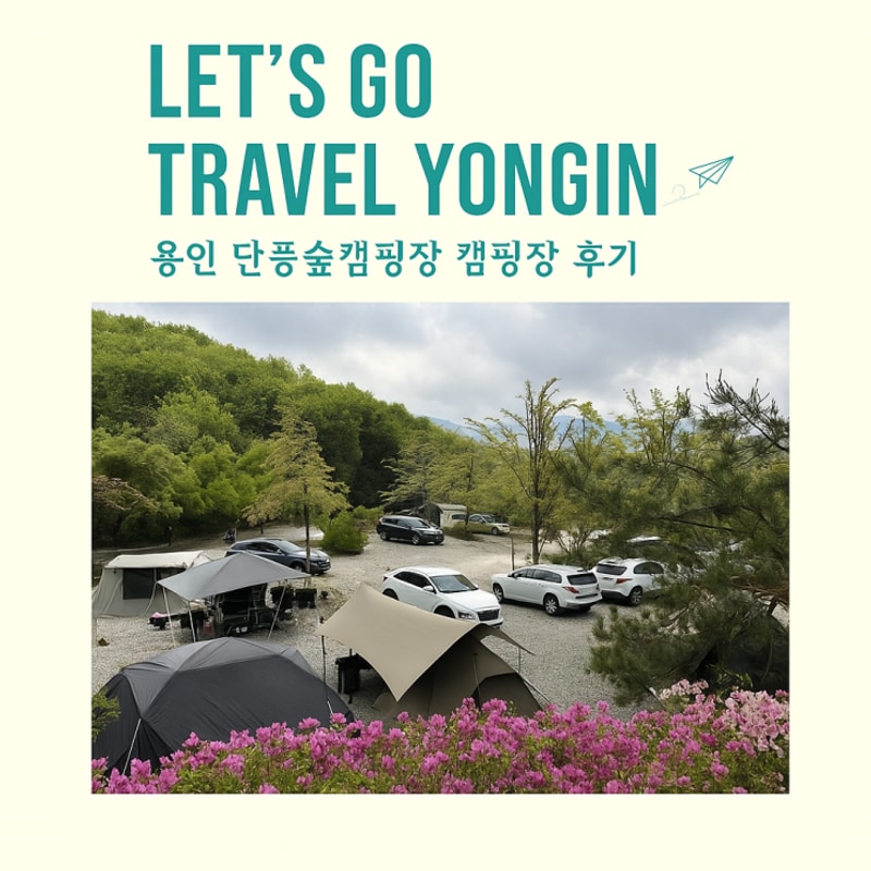 용인 단풍숲캠핑장 사자사이트 내돈내산 어린이날 캠핑