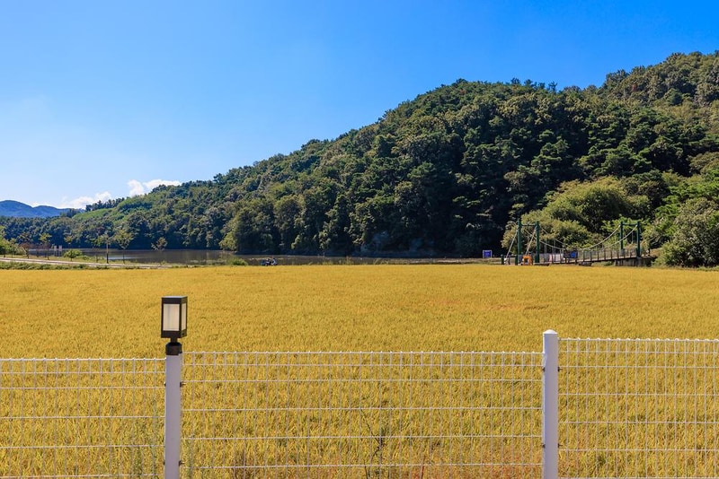 달문관광 농원 시설 사진 6