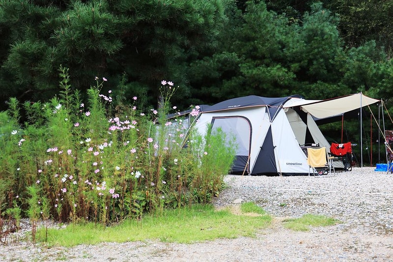 야한 캠핑장 시설 사진 2