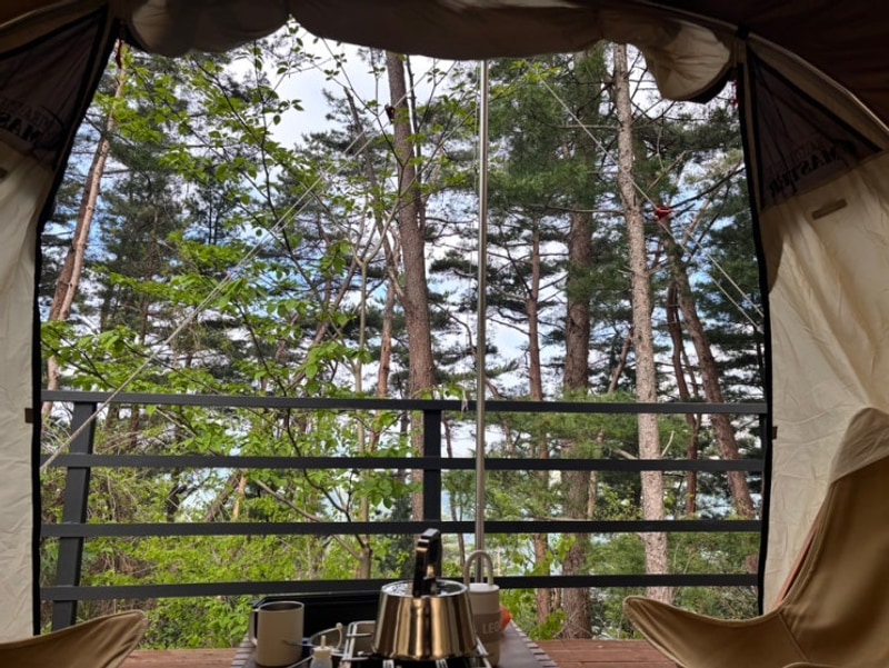 [강원도 영월] 구름품은 캠핑장