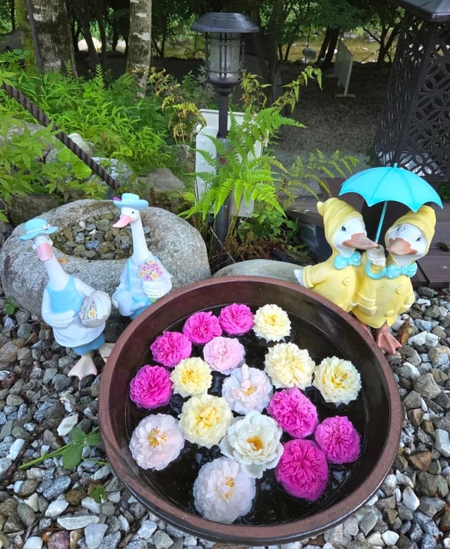 경북 봉화 구마계곡 2박3일 캠핑 (봉화별캠핑장)-2일