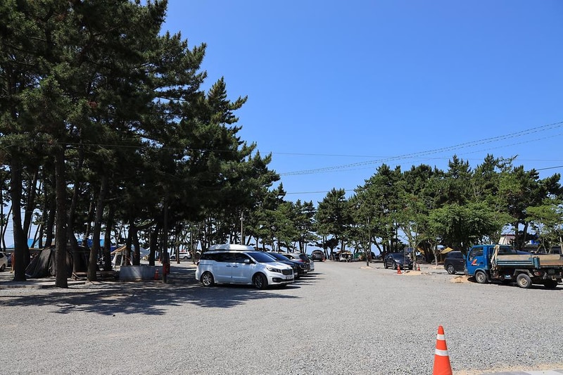 몽산포오토캠핑장 시설 사진 18