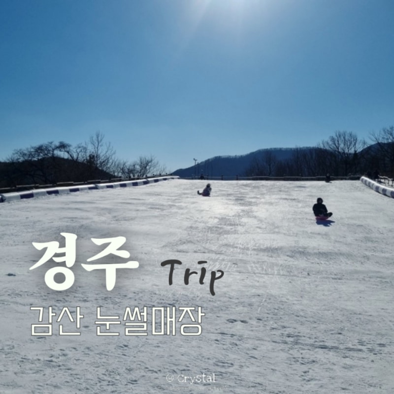 경주 눈썰매장 감산470 캠핑장 대구근교 아이랑 가볼만한곳