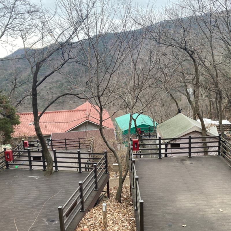 근교 여행지 캠핑장 추천! 김해 신어산자연숲캠핑장 솔직 후기