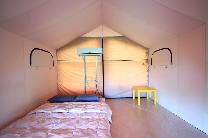 파라독스 애견펜션 / 돔글램핑&오토캠핑장 시설 사진 5