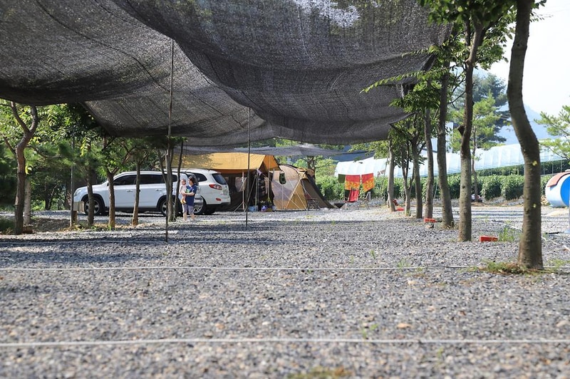 무릉도원 캠핑장 시설 사진 11