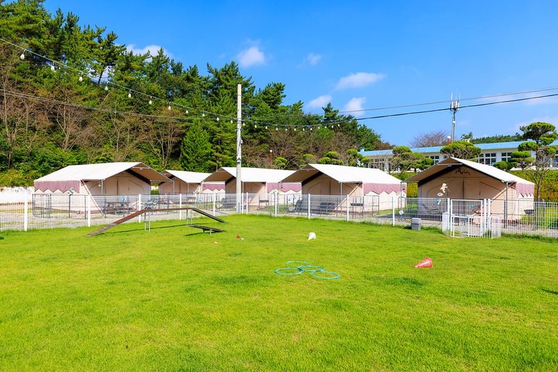 펫앤트리 시설 사진 12