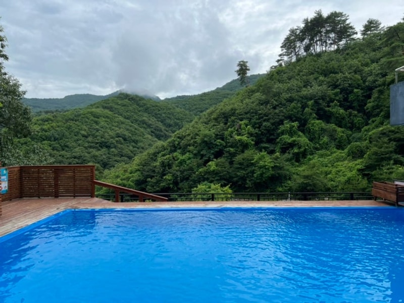 강원 홍천, 비발디 캠핑파크 미루나무점의 미니 카라반 리뷰