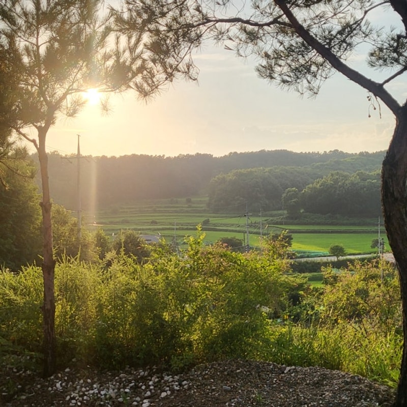 여주 캠핑고래 강천캠핑장 / 큰아들 방학캠핑 / 2025.07.22...