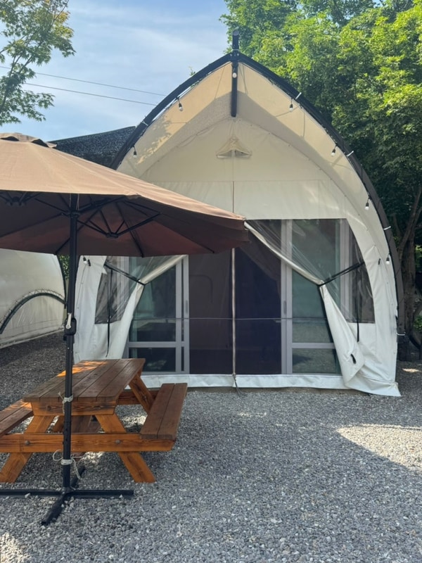 담양 거목글램핑(+거목카페)️ 솔직 후기