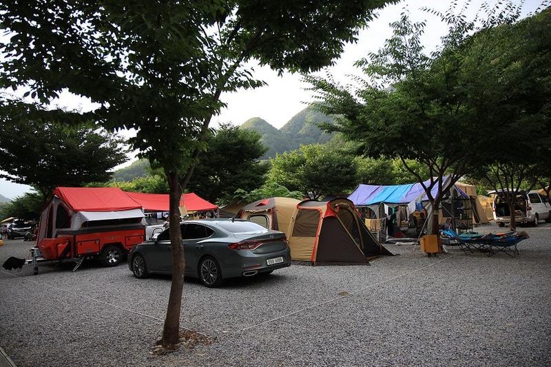 내리계곡 솔밭캠핑장 시설 사진 5