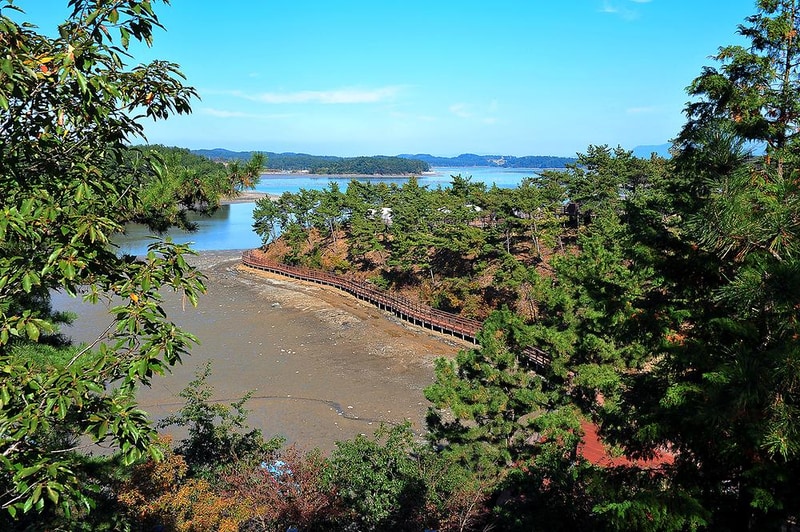 비토 국민여가캠핑장 시설 사진 13