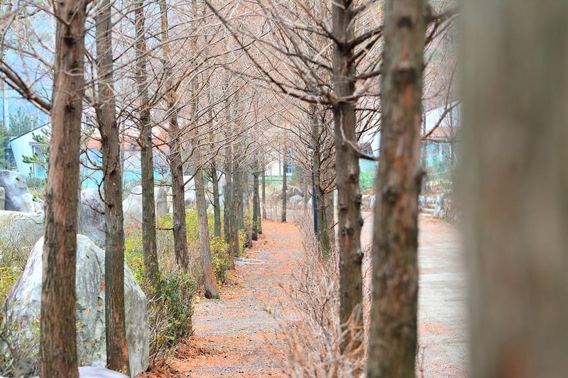 다누리골테마파크 시설 사진 18