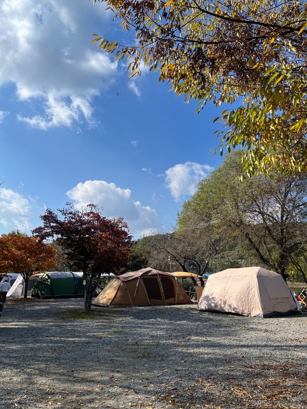 모든 사이트 호수뷰 안성 용설호수  캠핑장 추천