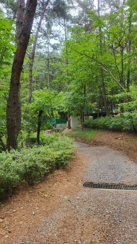 비 오는 날의 특별한 추억, 태안 올레유캠핑장 캠핑 후기