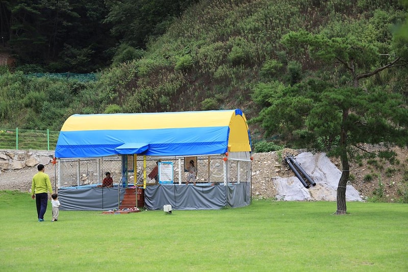 경주 더숲 관광농원 시설 사진 2