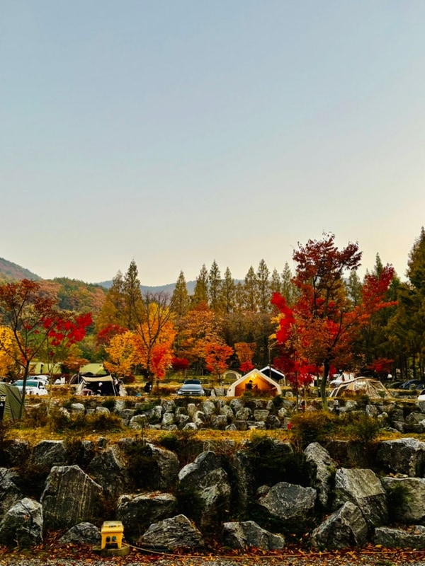 예산 스노우라인캠핑빌리지 재재방문,A사이트에서 2박3일 단풍...