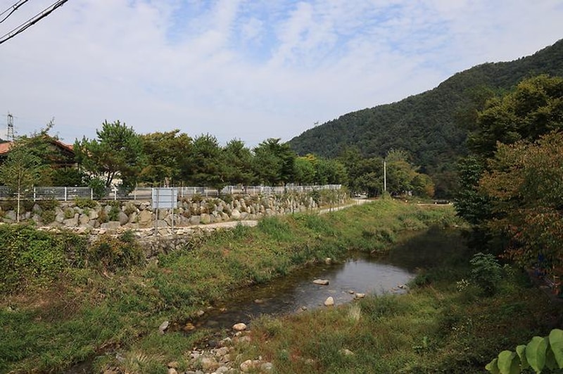 블루래빗 대표 사진