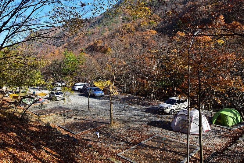 금산산림문화타운 시설 사진 4