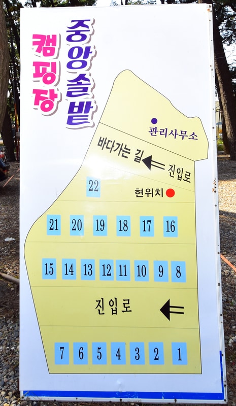 춘장대 중앙솔밭캠핑 배치도 1
