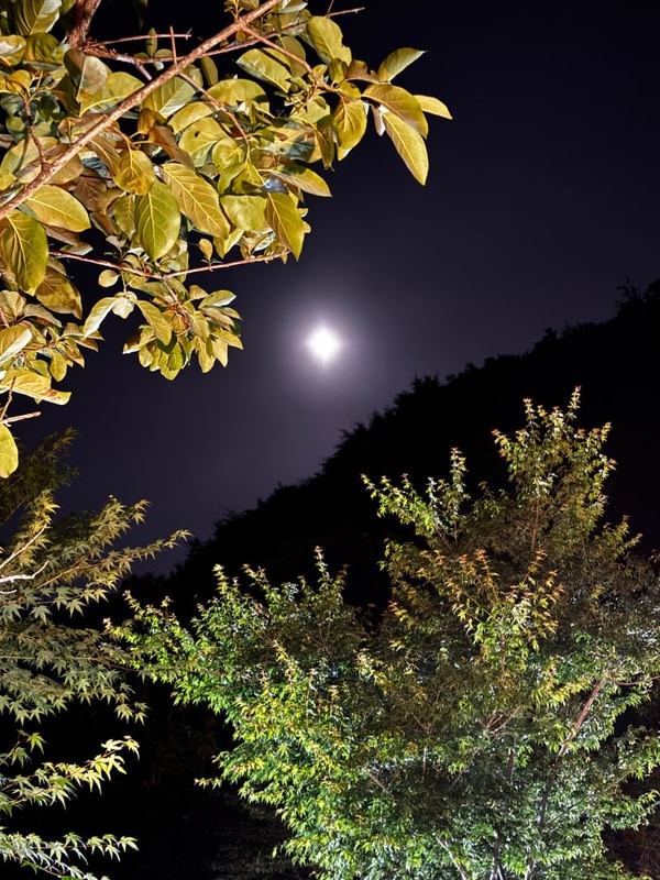 [2025.6.6.~8.]2박 3일 캠핑-산청 내공리700 캠핑장