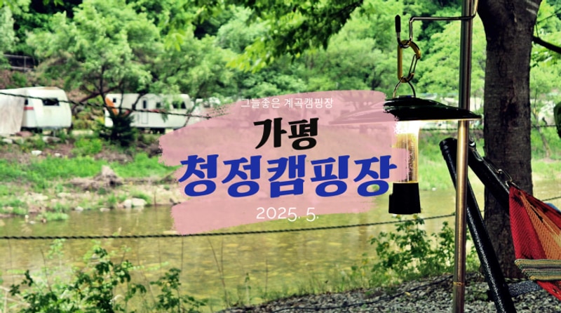 가평 그늘 좋은 계곡 캠핑장_청정캠핑장_