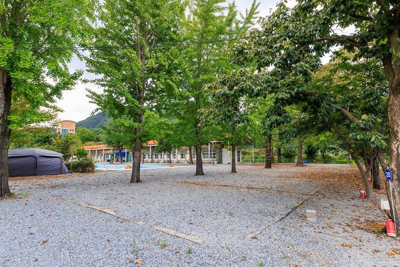 파랑새 캠핑장 시설 사진 2