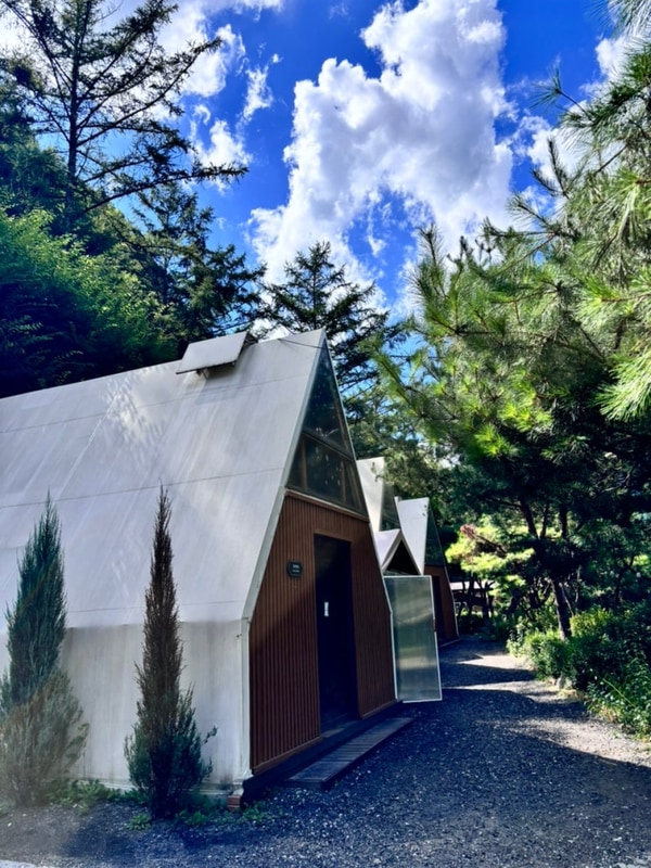 가평 글램핑/가평 계곡 '오하브 글램핑' - 애완견 동반, 계곡...