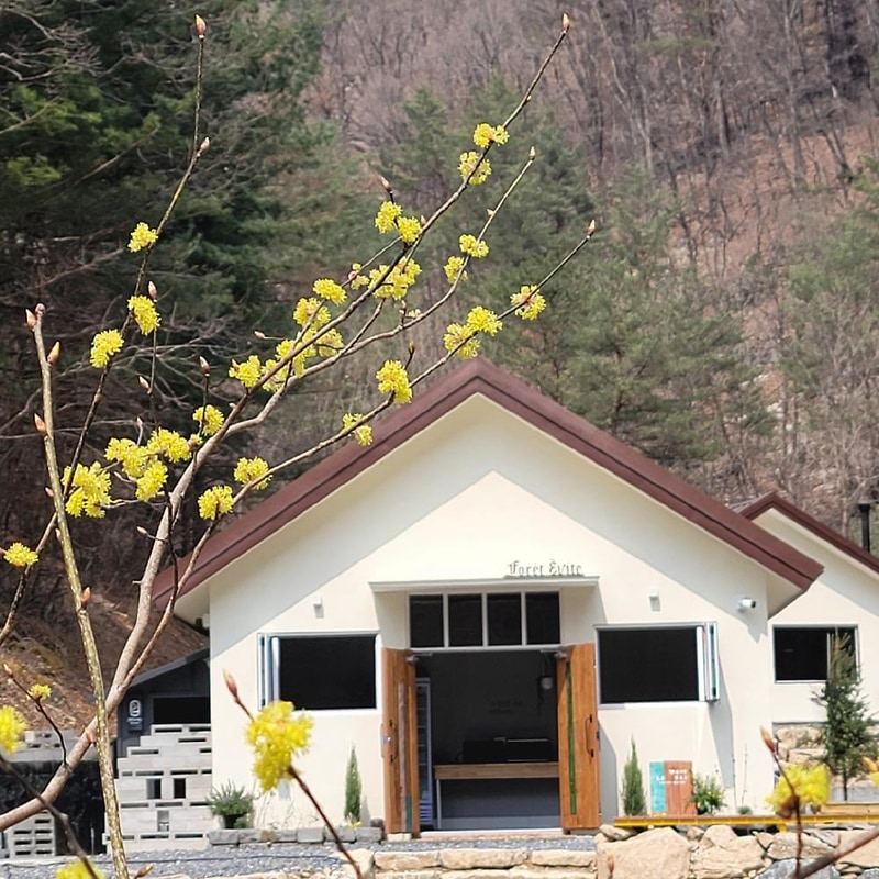 포레 앙비떼 시설 사진 13