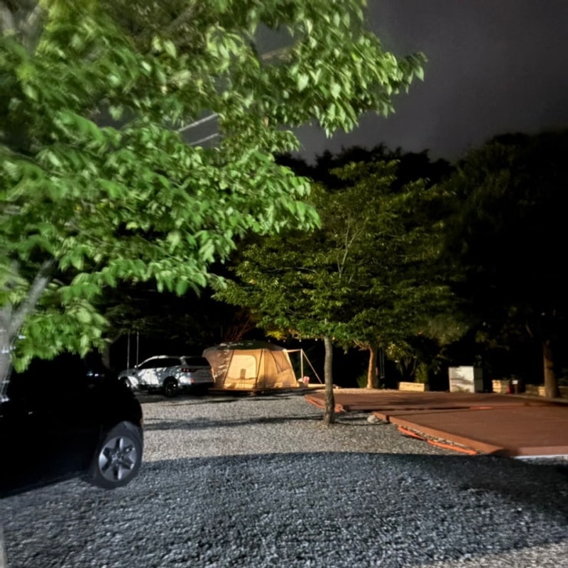 [괴산] 충북캠핑장 계곡앞... 명당자리 꿀팁 -화양숲 노리캠핑장