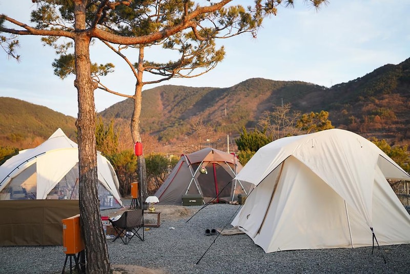 FLOW 11 야영장 시설 사진 10