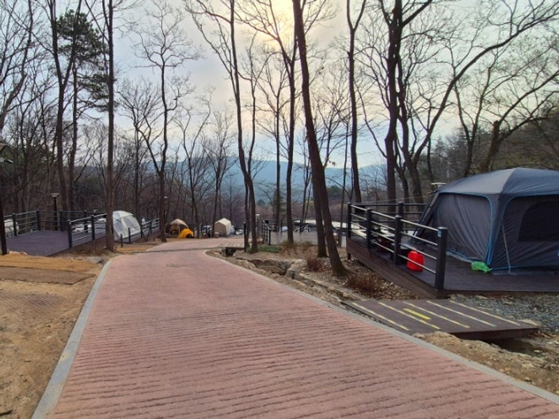 대전 캠핑장 성북동숲속야영장 후기와 명당 자리 및 시설 정보